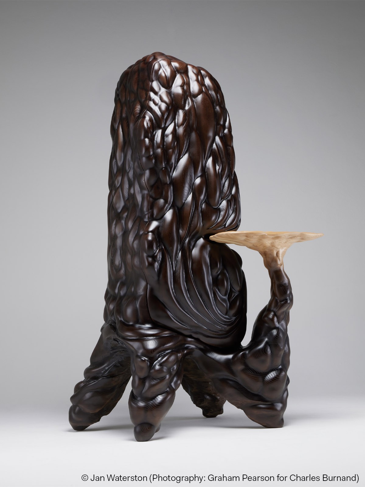 2026 Trends Report: Kaleidoscope