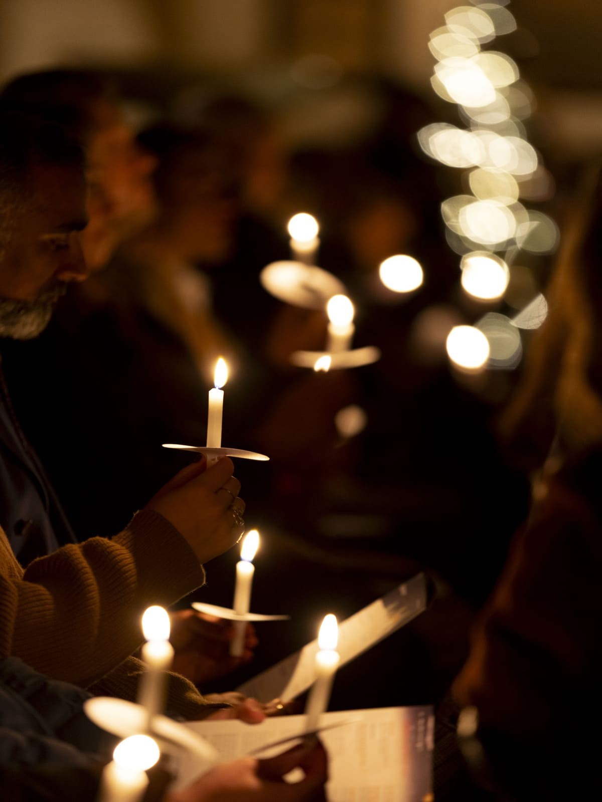 Newsletter – December 2025