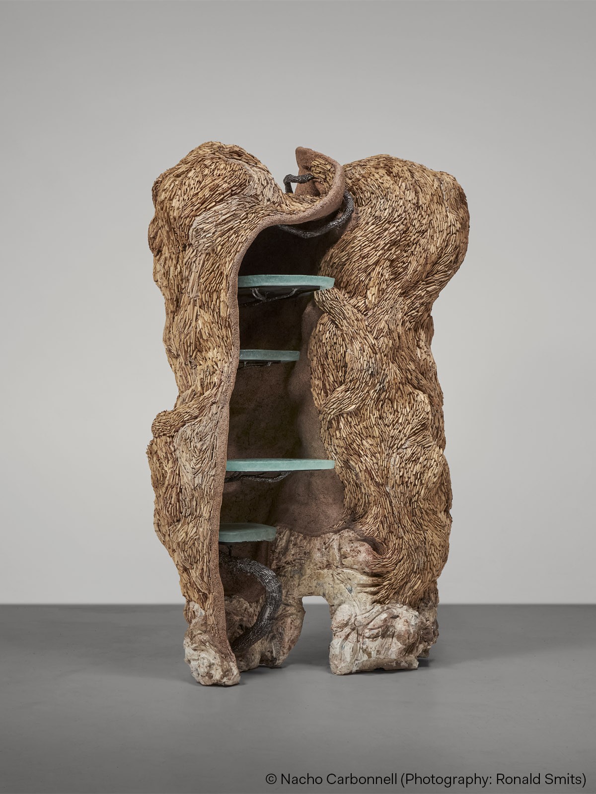 2026 Trends Report: Kaleidoscope