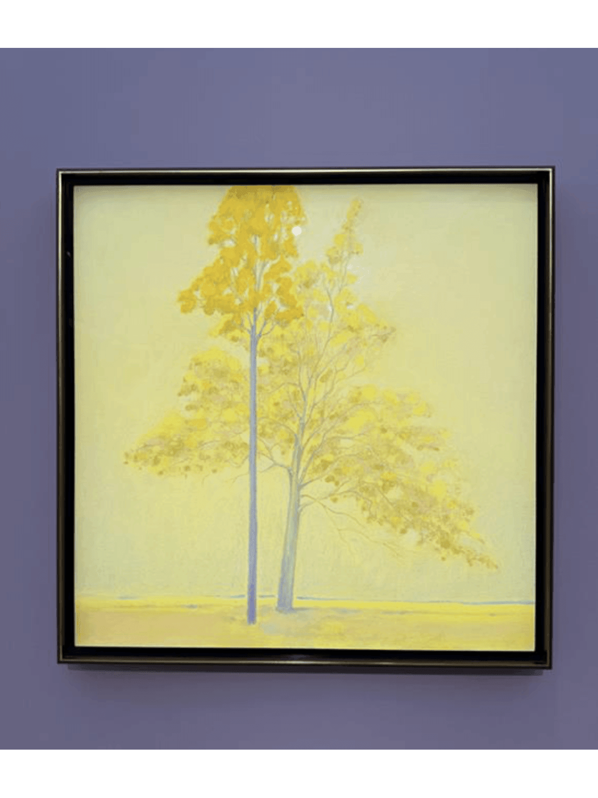 Newsletter – October 2025