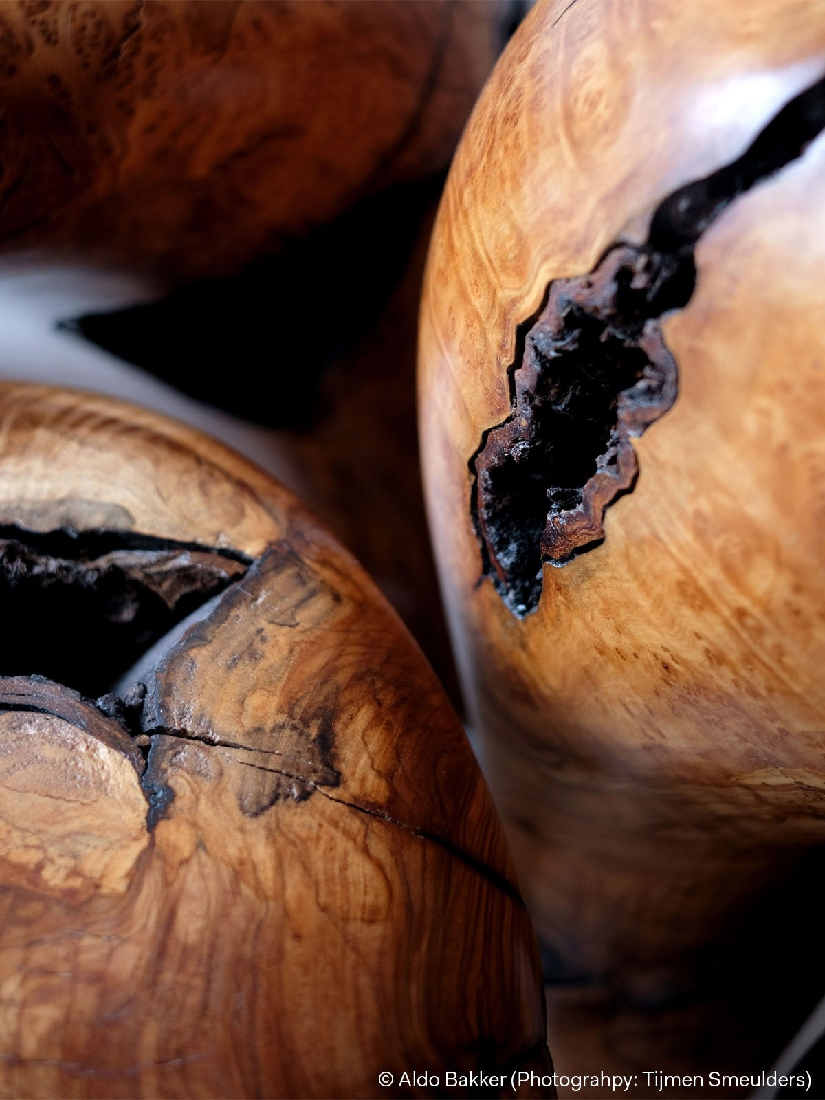 2026 Trends Report: Kaleidoscope