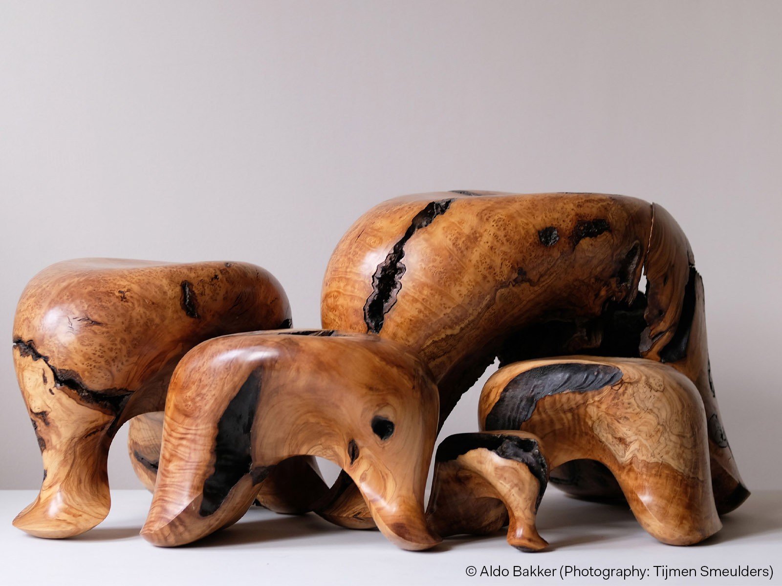 2026 Trends Report: Kaleidoscope